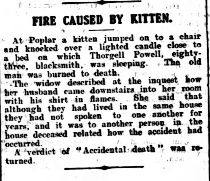 'Death by kitten' is quite weird enough, but it was the second line of the second paragraph that really caught my eye.  (Atherstone Herald 1917, via @_newspapers)