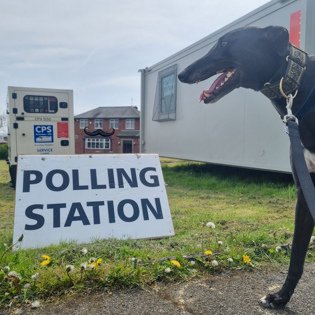 Lexi Hamer tweet media