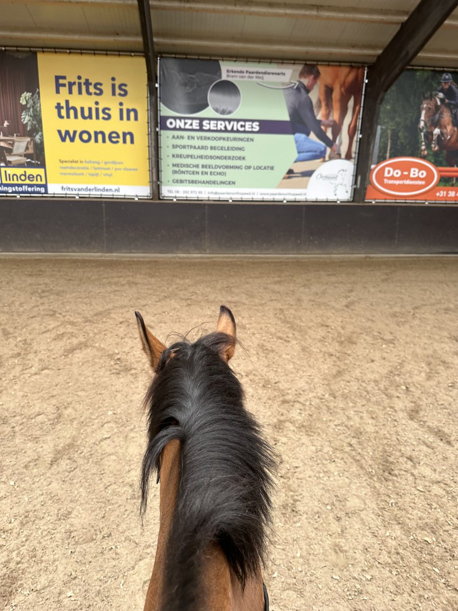 schoonhoven_b's tweet photo. Beste uitzicht ooit ❤️ #lifebetweentheears https://t.co/uY0ht8AfNB
