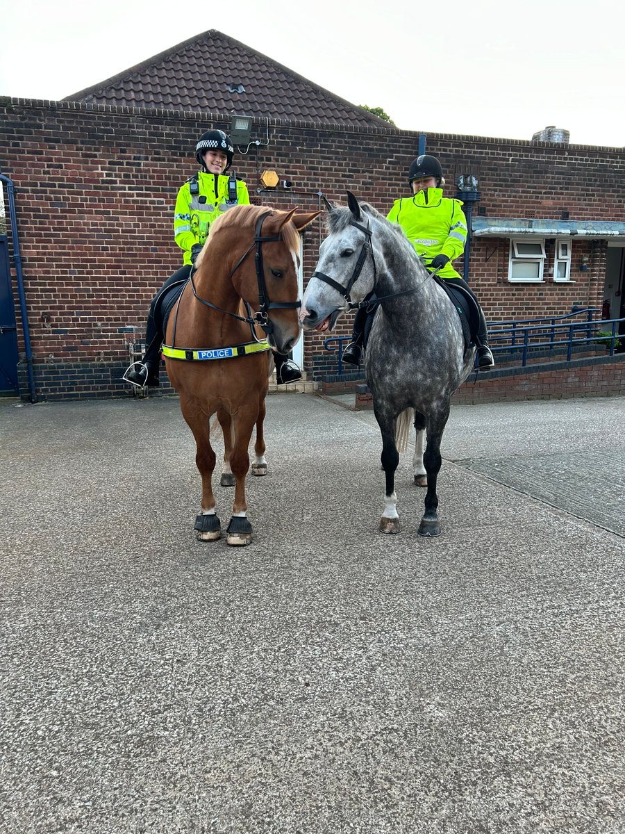 Carter is chaperoning Albie on his first late patrol.
Carter has only been with us for just over two years & has taken to his role like a pro, Albie has been with us 1 & a half and has started to do more patrols & showing great potential. #StandTall #PHCarter #PHAlbie #NewBesties