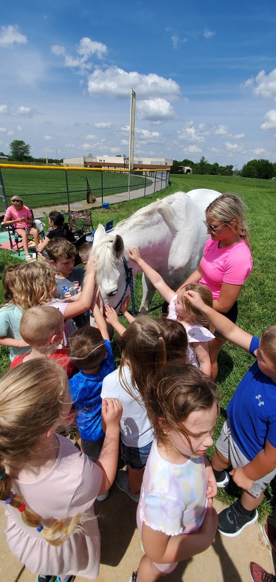 MsLieferKdg's tweet photo. FFA Day fun! #redbud132 https://t.co/shkFPEEmkv