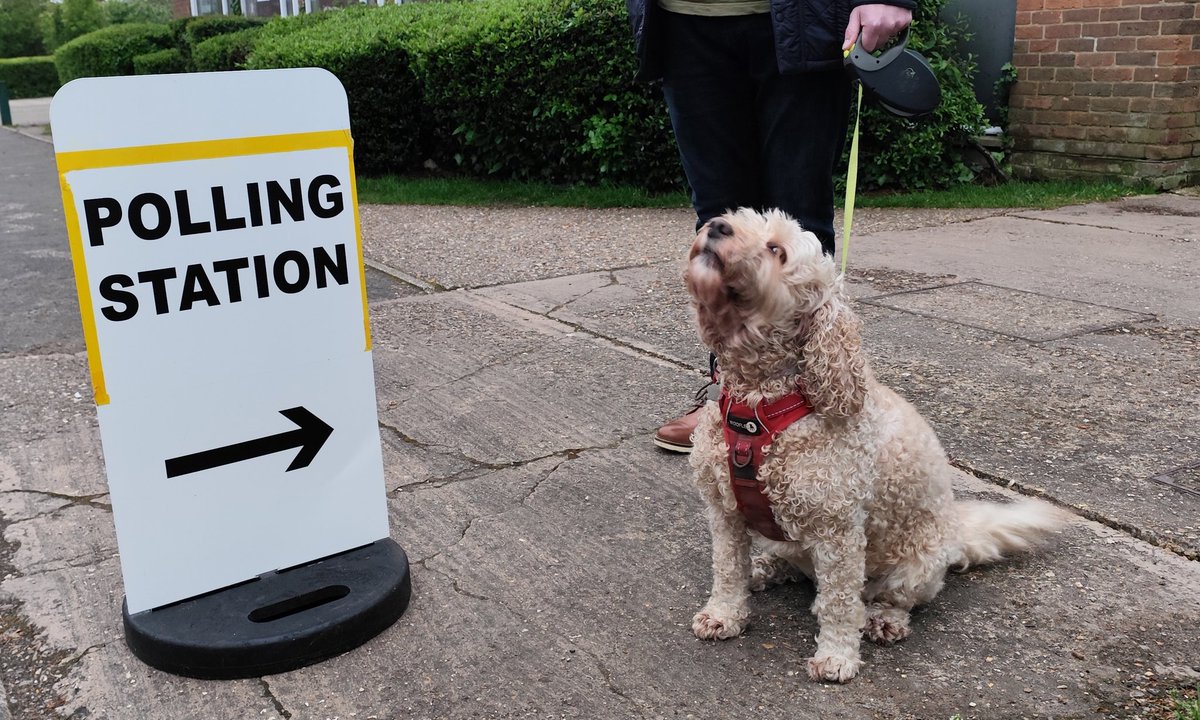 Darcy says #GetTheToriesOut #dogsatpollingstations