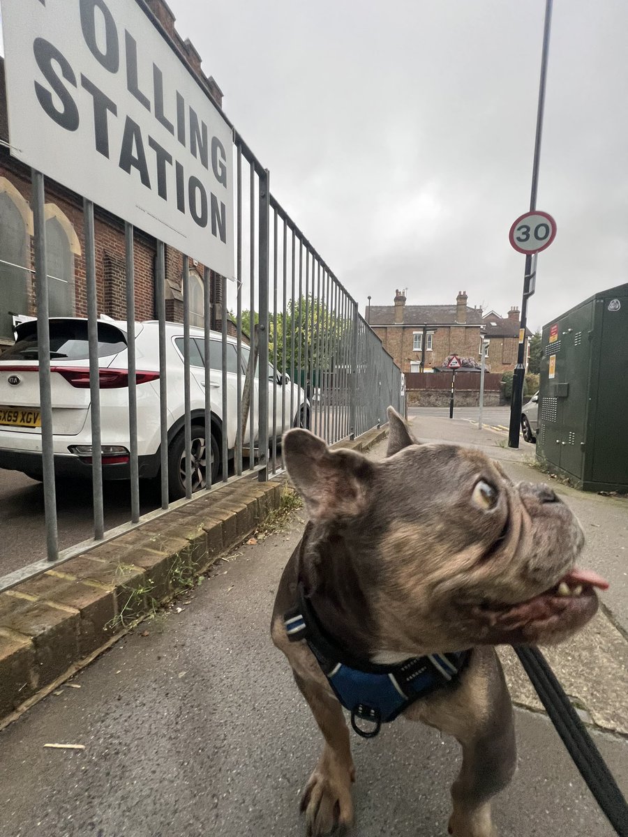 #dogsatpollingstations