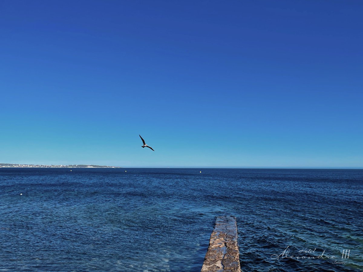 Blue blue blue. #blueblueblue #cotedazurfrance #cannes #cannes2024 #cannesfilmfestival #bienvenueacannes #onatousbesoindusud #cannessoleil