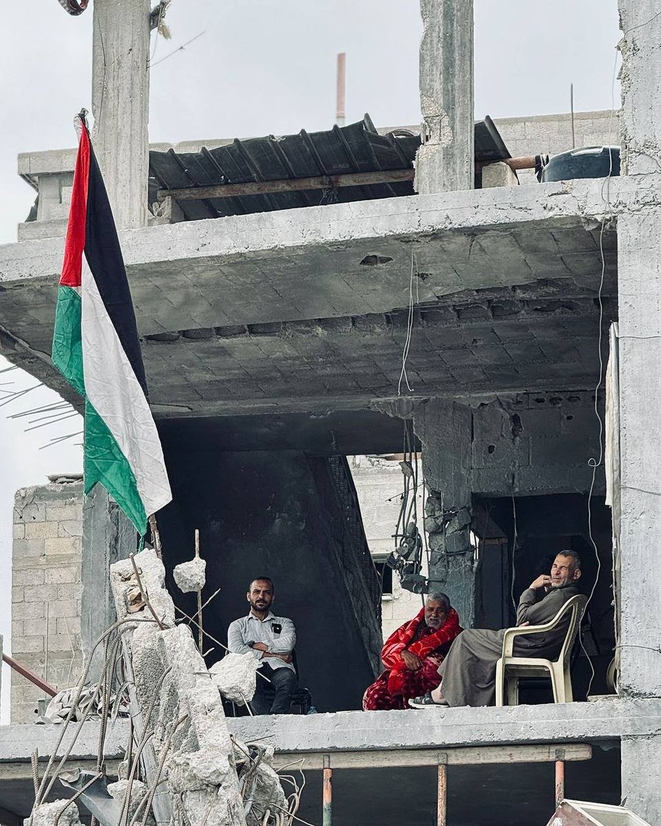 It's our home! It's our land 🇵🇸