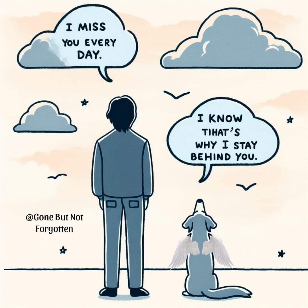 Tomasz Wiśniewski tweet media