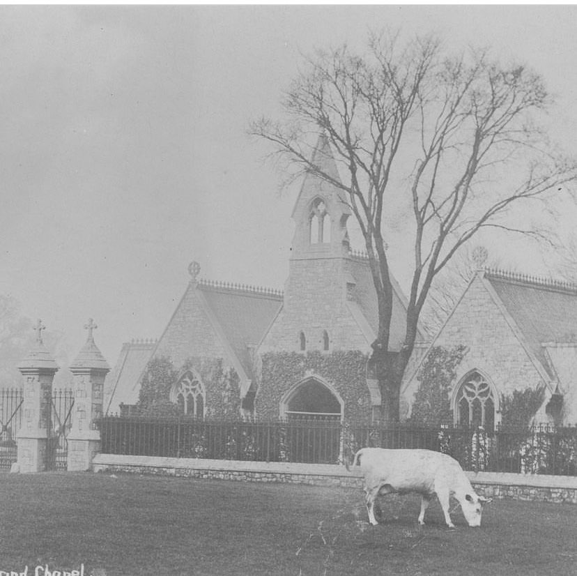 Our extraordinary part of Tottenham is steeped in history and you’ll have chance to find out more on Sunday. Including a rare opportunity from 11-1pm to explore the hidden beauty of the chapels in Tottenham Cemetery. Imagine cows in Bruce Castle park? new.haringey.gov.uk/news/20240502/…