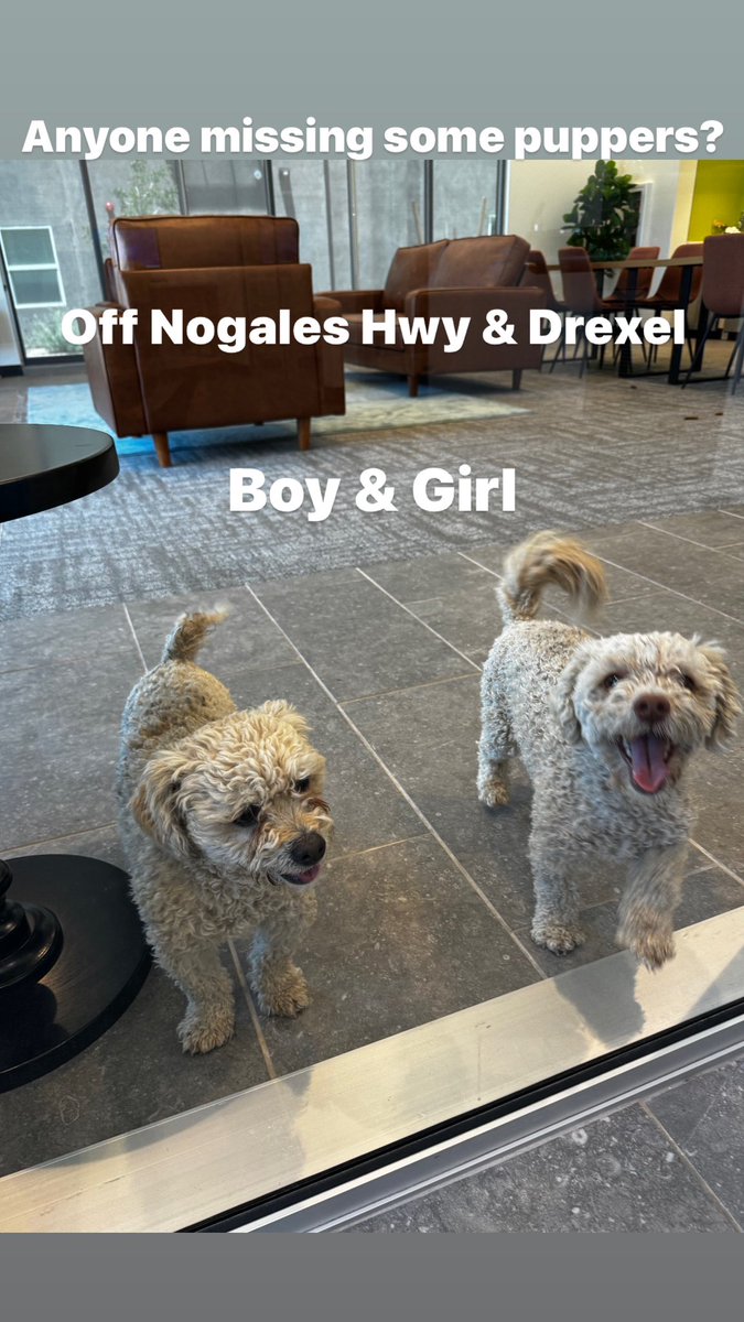 You.Must.Love. Nene tweet media