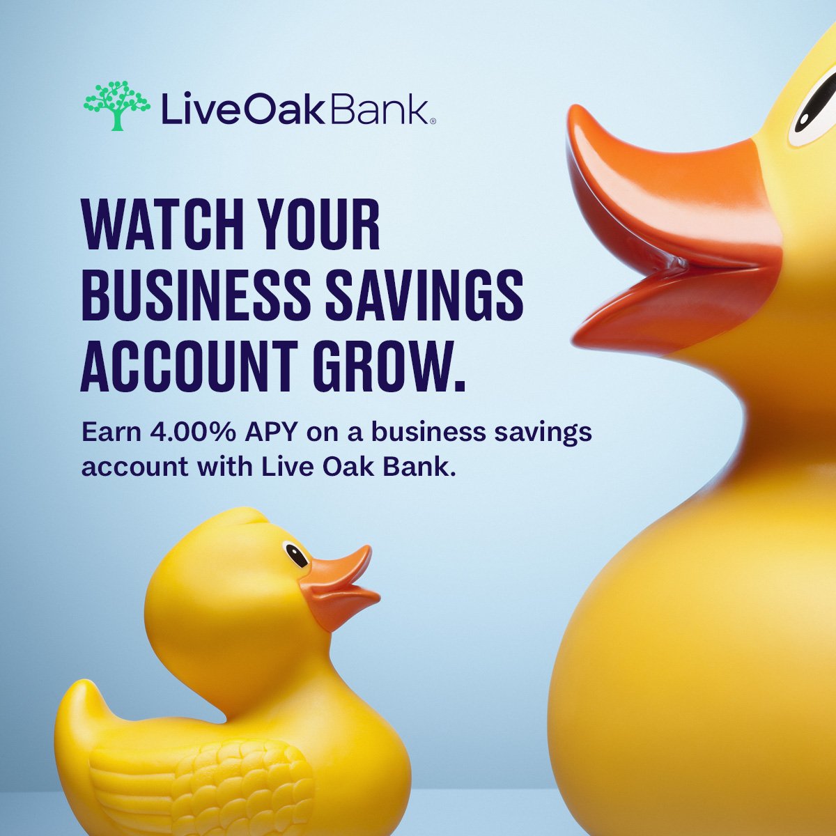 Grow your savings as you grow your small business. Earn 4.00% APY at Live Oak Bank. Learn more: bit.ly/3xQWp0L Member FDIC.