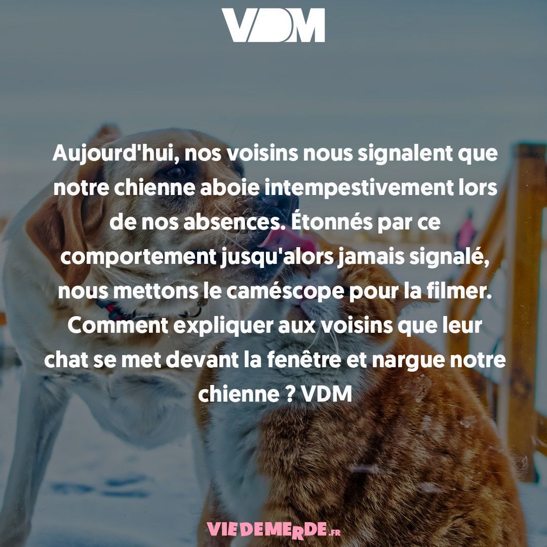 Aujourd'hui, partagez vos VDM ici : viedemerde.fr/?submit=1 et/ou téléchargez l'appli VDM officielle - viedemerde.fr/app