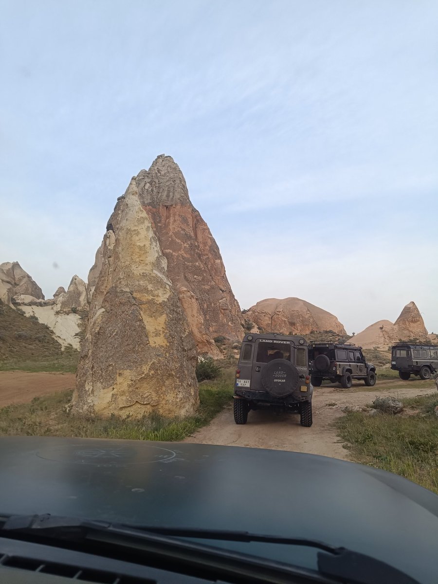 raydan🍉 tweet media