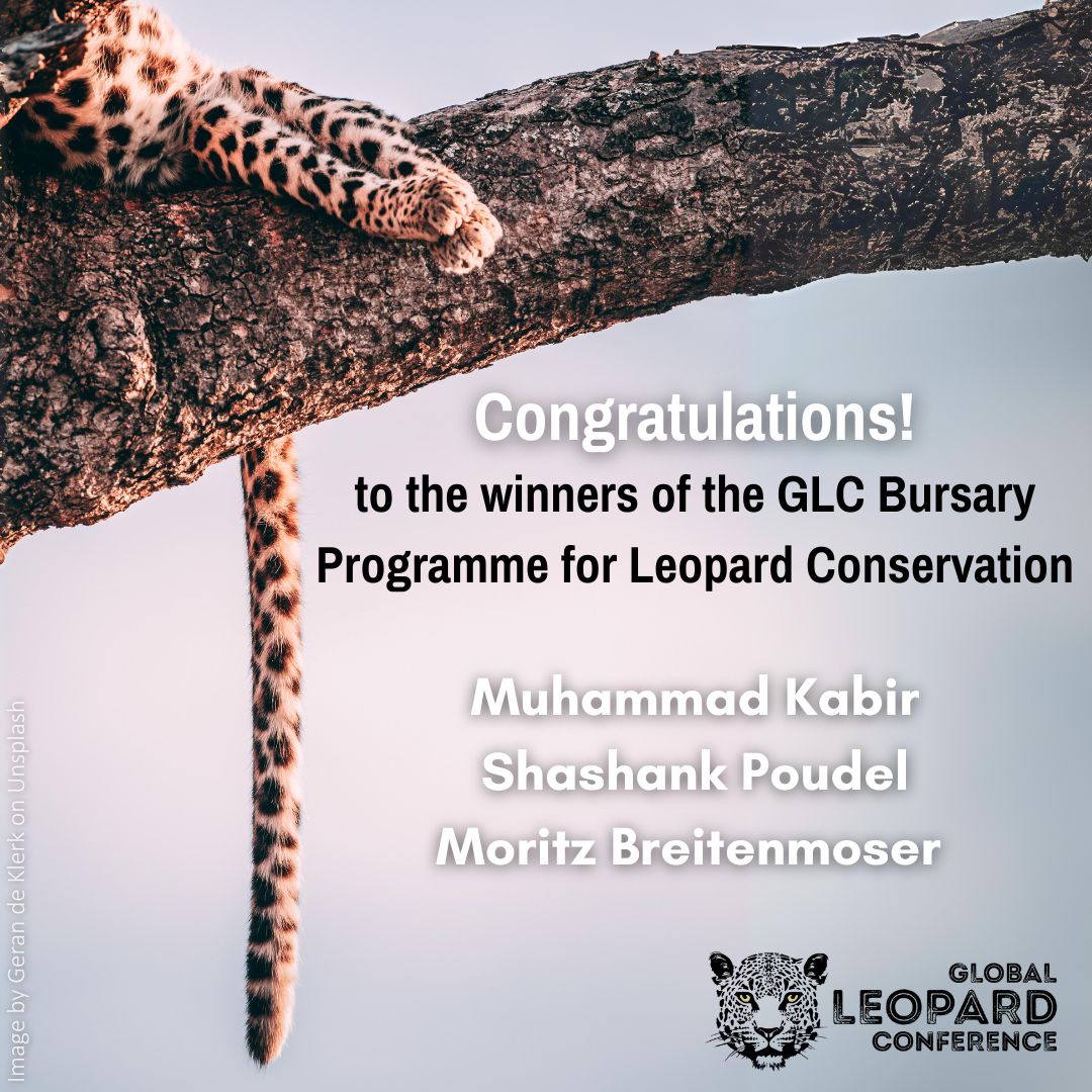 A hearty congrats on #InternationalLeopardDay to the winners of the Global @LeopardConf Bursary Programme for #Leopard #Conservation!
•Muhammad Kabir
•Shashank Poudel
•Moritz Breitenmoser
Best of luck with these important projects!
*Bursaries supported by the GLC & @alf_ngo