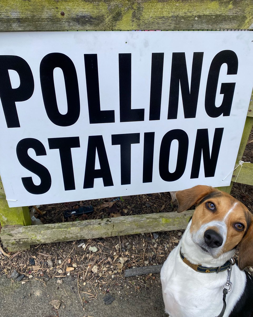 I’m voting for ‘bins’ Iyswim #dogsatpollingstations