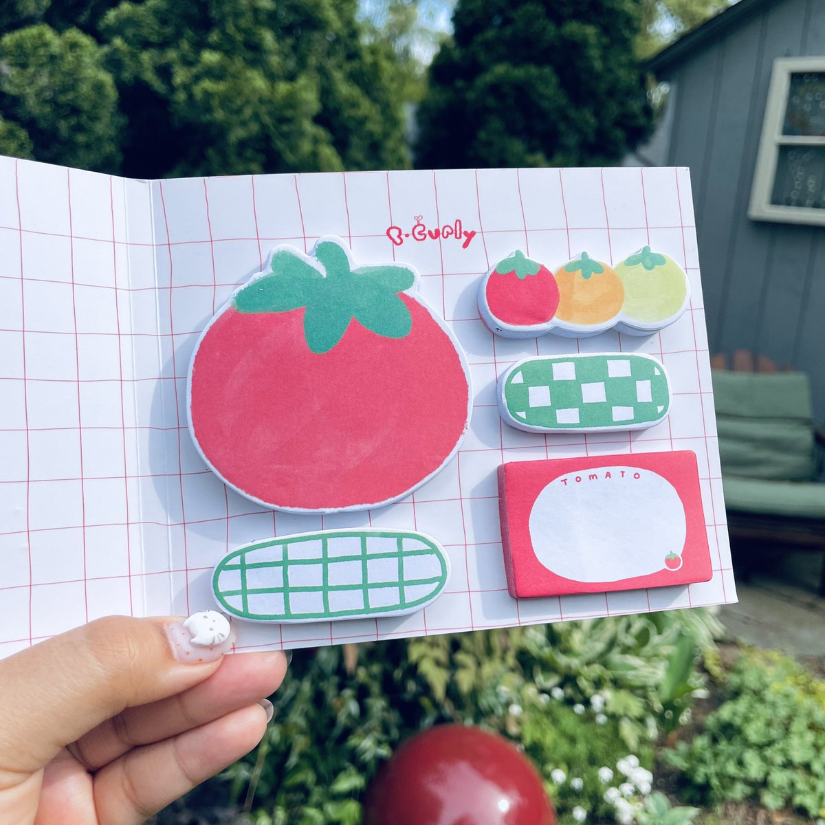 Tomato Box Memo Book! 🍅🍅🍅📦