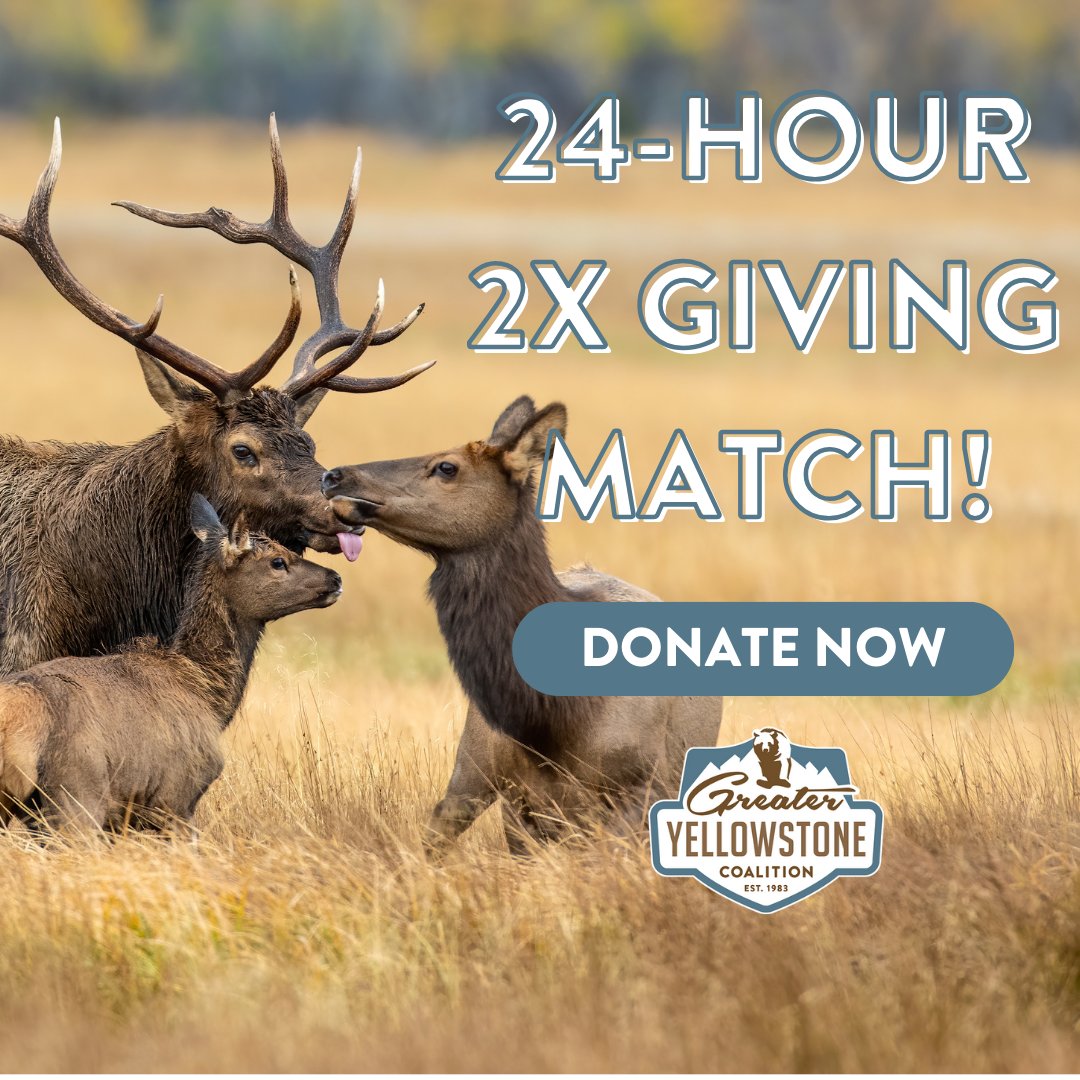 #GiveBigGV is now live! Donate today and make your gift go 2X as far with our $10,000 match. We need your support to reach our goal of raising $25,000 to help keep the GYE remarkable. Make your gift by tomorrow at 6 p.m. to be eligible for the 2X match. bit.ly/gycgivebigv