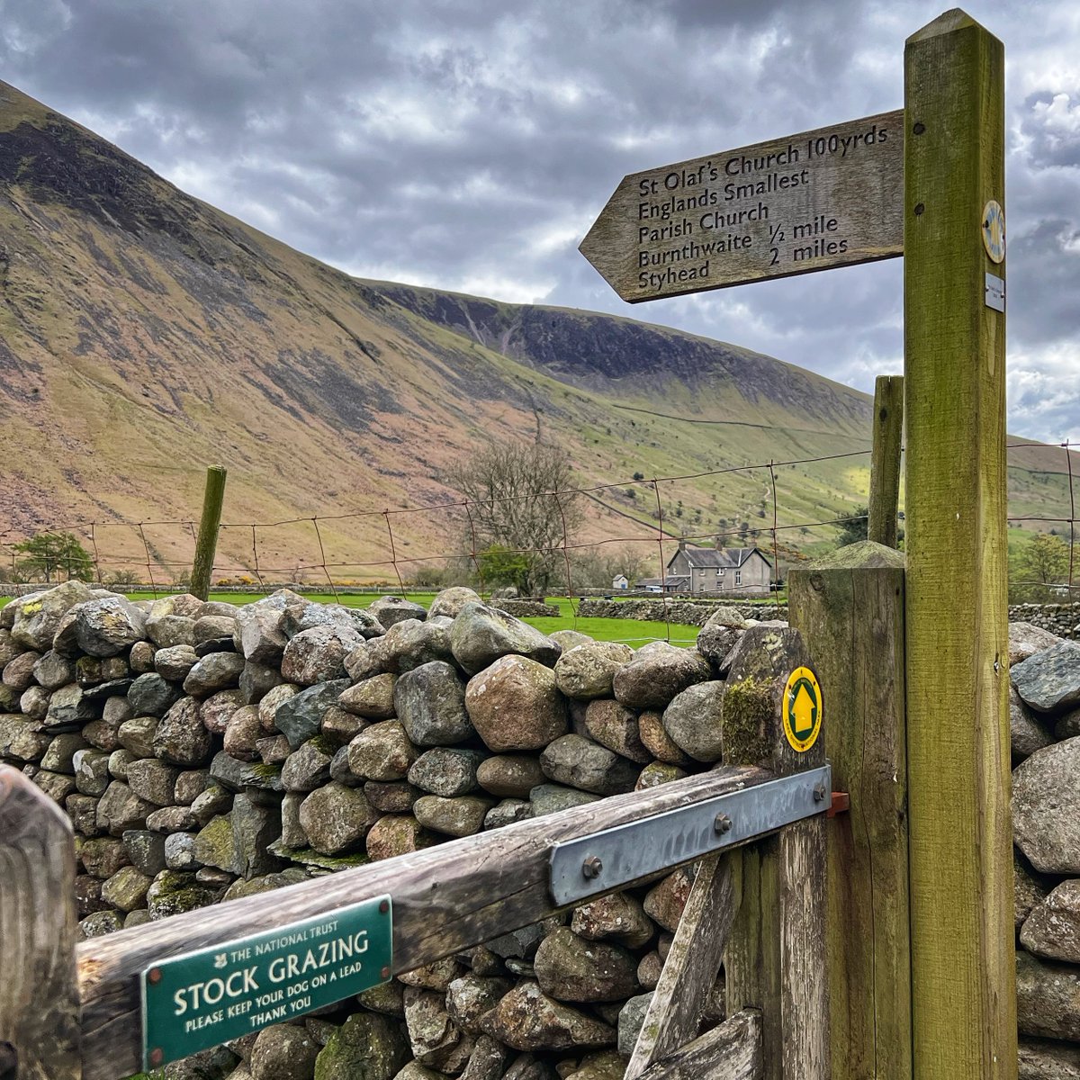 Rosie Harding tweet media