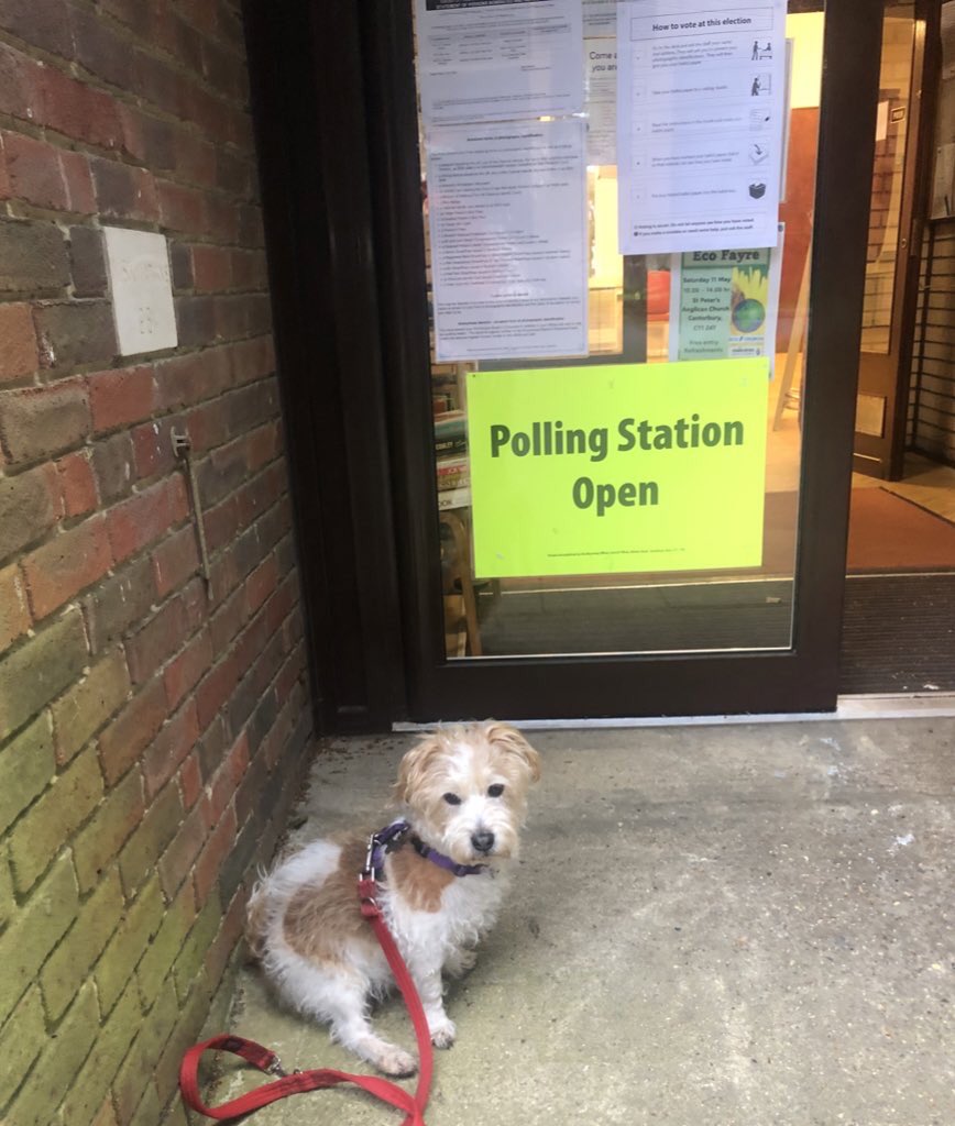 #dogsatpollingstations
<a href="/votingdogs/">#DogsAtPollingStations</a>
Voting for the PCC!!! Really!!!🤣