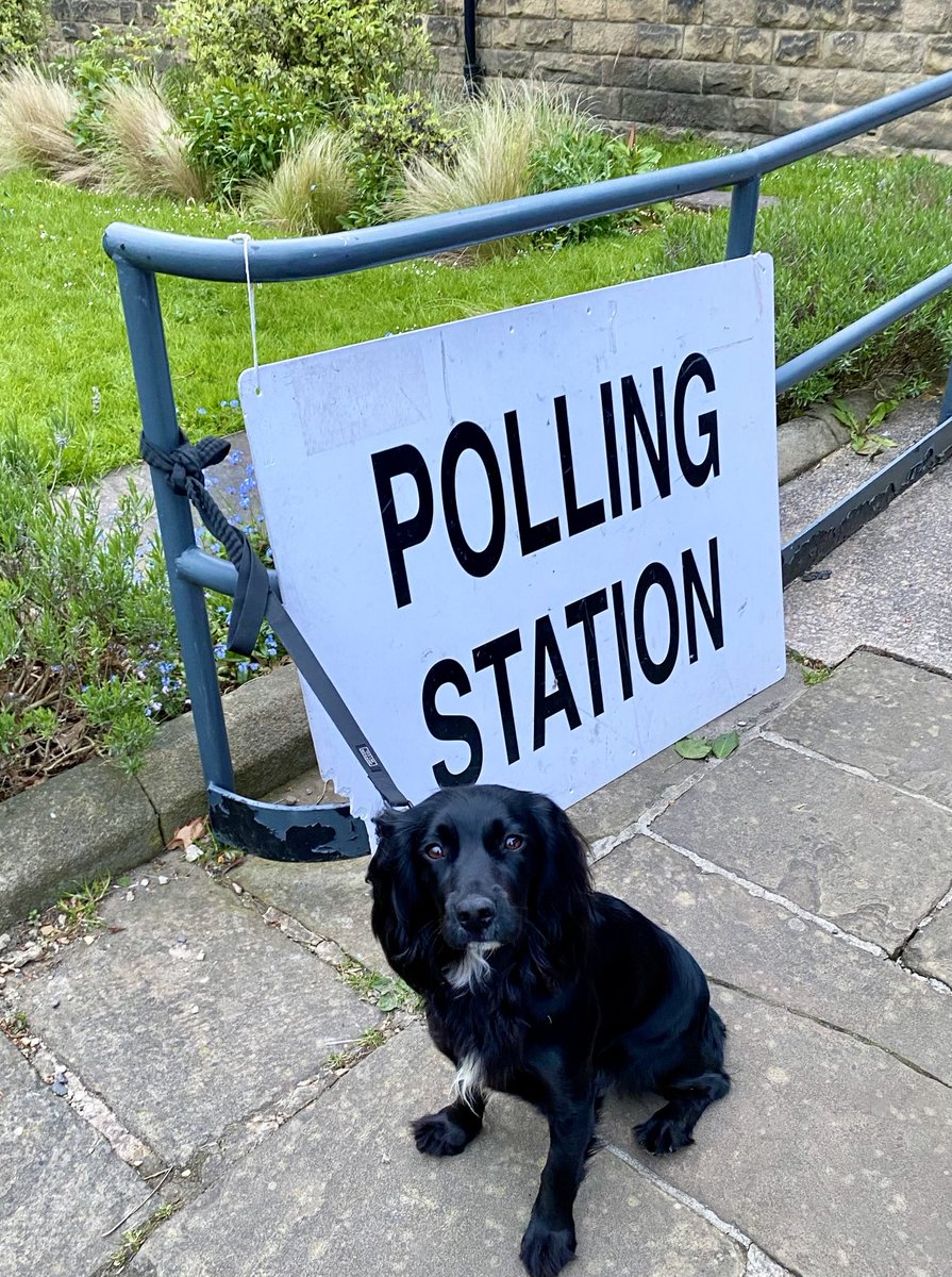 Fi_kelly71's tweet photo. Still an hour and a half to make your vote count. Nice evening for a walk too. #dogsatpollingstations https://t.co/0pi31xpRIA
