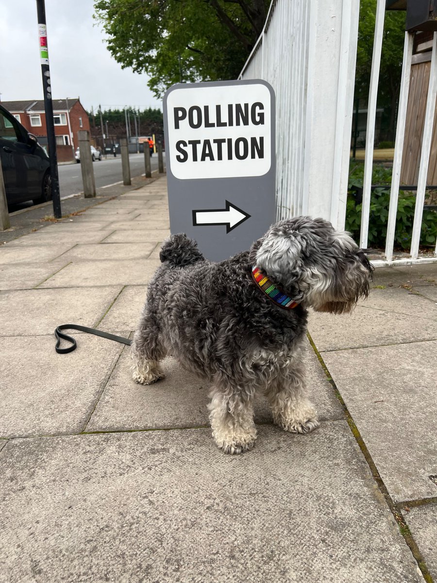Greta went to the polling station today; exercising her human rights -the right to vote. Vote for @AnimalsCount