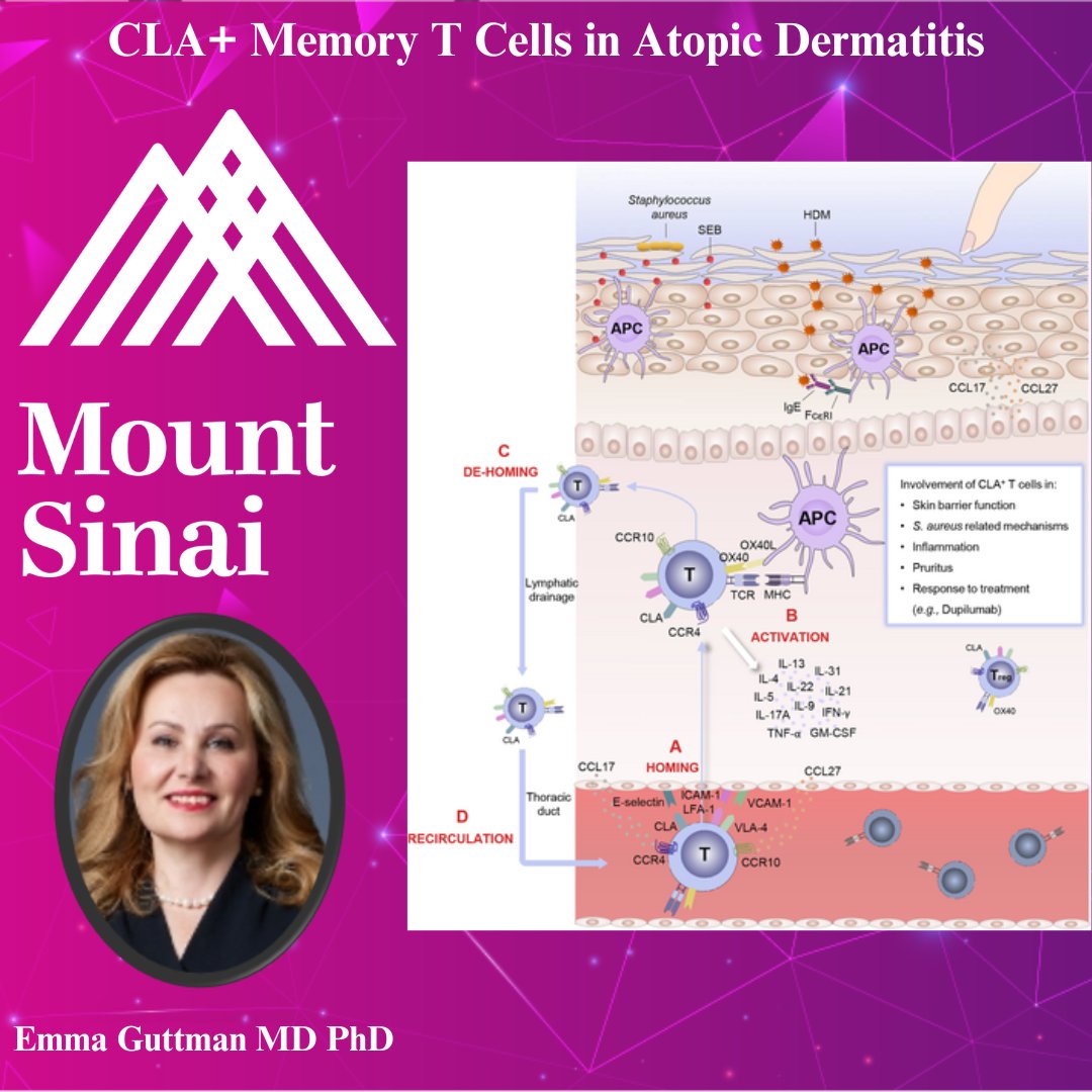 .@EmmaGuttman Explores the role of Cutaneous Lymphocyte-Associated Antigen (CLA) in Atopic Dermatitis (AD): CLA is pivotal in guiding immune T cells to the skin, playing a central role in AD's inflammatory process. 🧬bit.ly/CLA_Memory