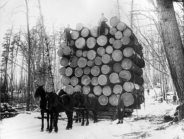 Load of logs hauled by four horses of the Anne River Logging Company. Minnesota, USA. 1892.

#history #usa #minnesota #oldwest #1800s #19thcentury #old #vintage #historical #horse #logging #tree