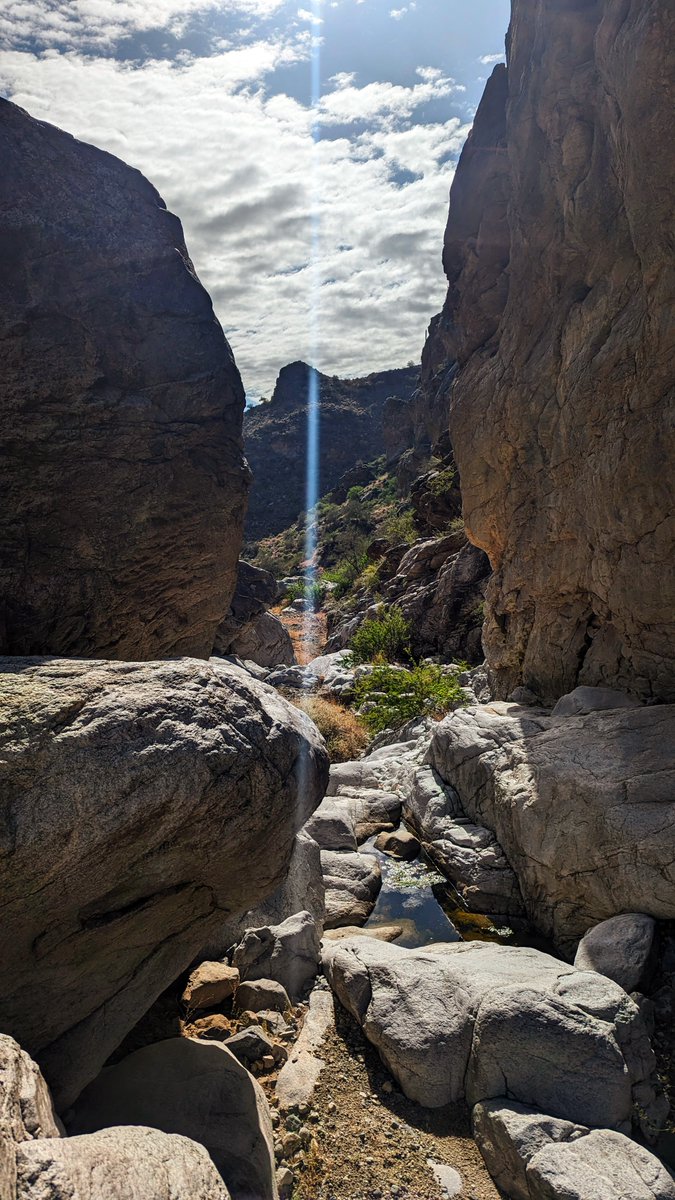 The White Tanks are just gorgeous.
#Hiking #Mountains #Arizona #HikeAZ #GetOutside