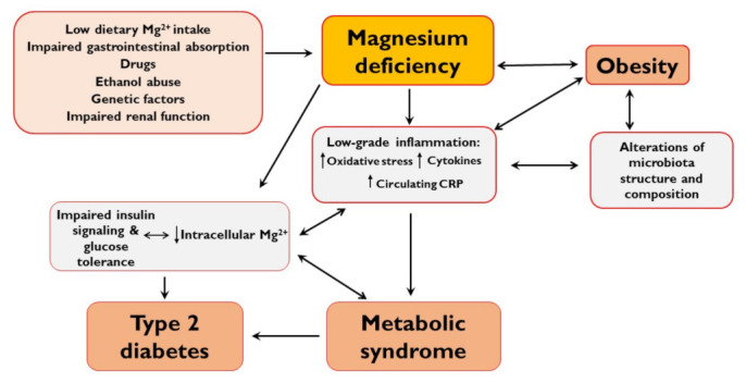 Magnesium deficiency causes inflammation, oxidative stress, diabetes and obesity...

It is required for glucose metabolism and Vitamin D activation.

Over 60% of people are deficient today.