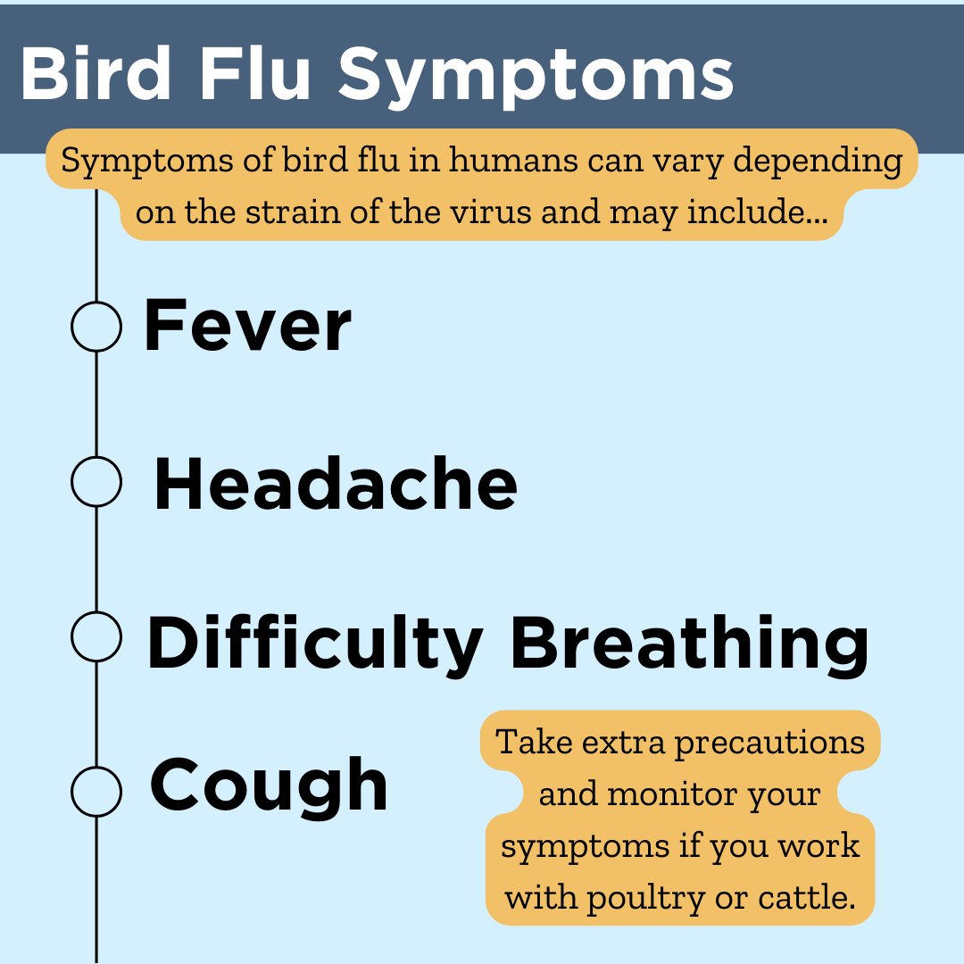 The CDC has reported outbreaks of #birdflu, affecting poultry and more recently cattle in the U.S. This season, strains like H5 and H7 have been particularly severe, causing concern for both commercial and backyard poultry. cdc.gov/flu/avianflu/s…