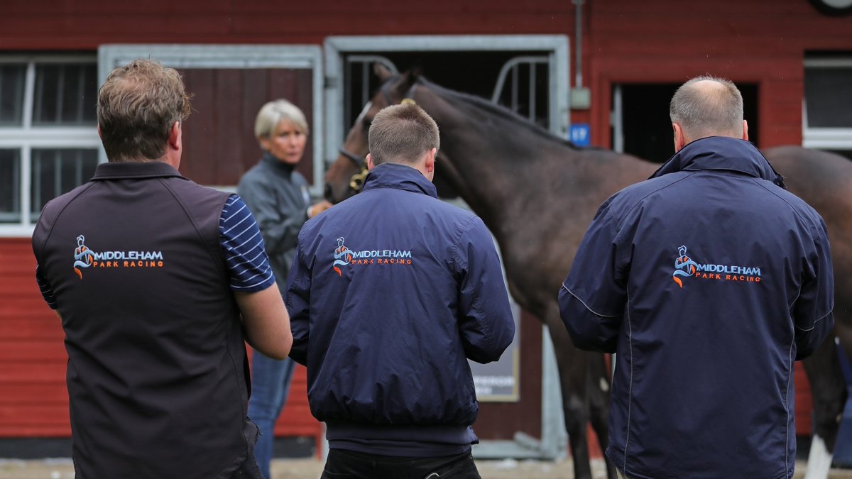 A busy few days at @Tattersalls1766 comes to a close, and we are thrilled to have purchased 6⃣ new horses, including one that heads to a brand new trainer! 👀 Shares will be live on our website tomorrow! 👉 bit.ly/3B9jvgu 👈 #TeamMPR