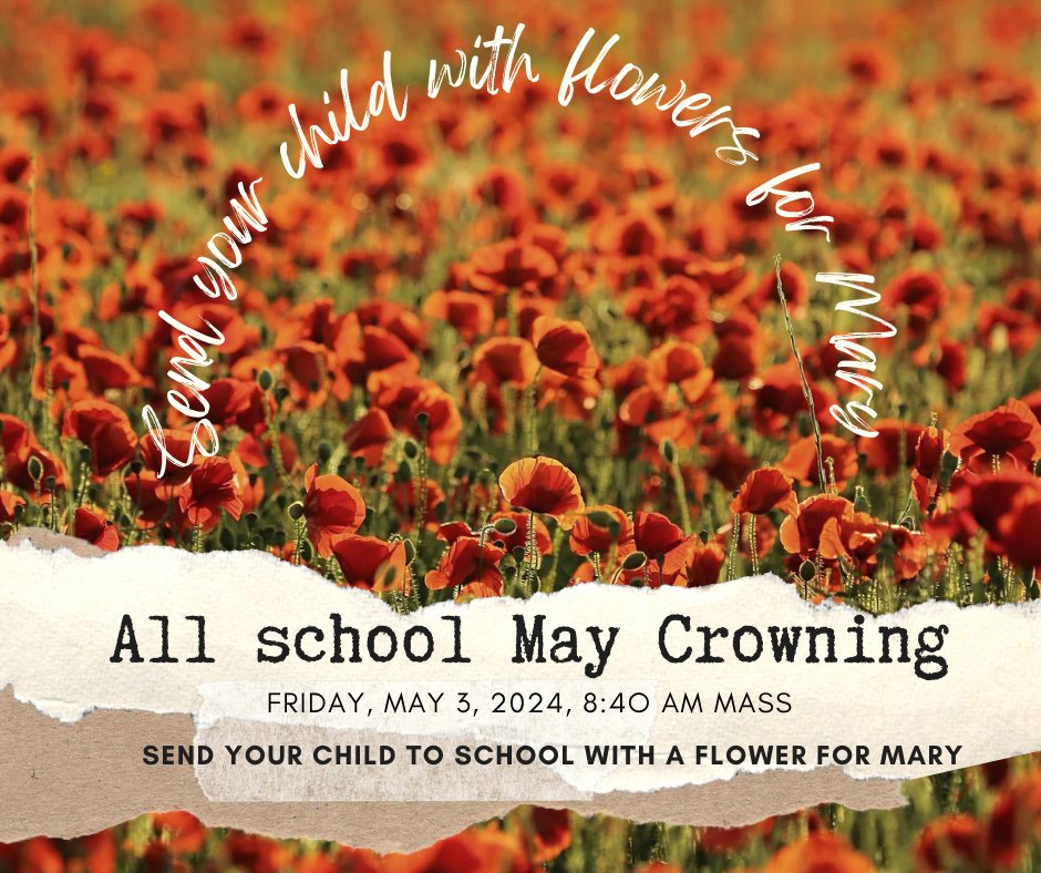 Reminder: Bring a flower of any variety to school tomorrow...all for the Blessed Virgin Mary.  🌺🌼🪷

#maycrowning #may #mary #blessedmother #Catholic