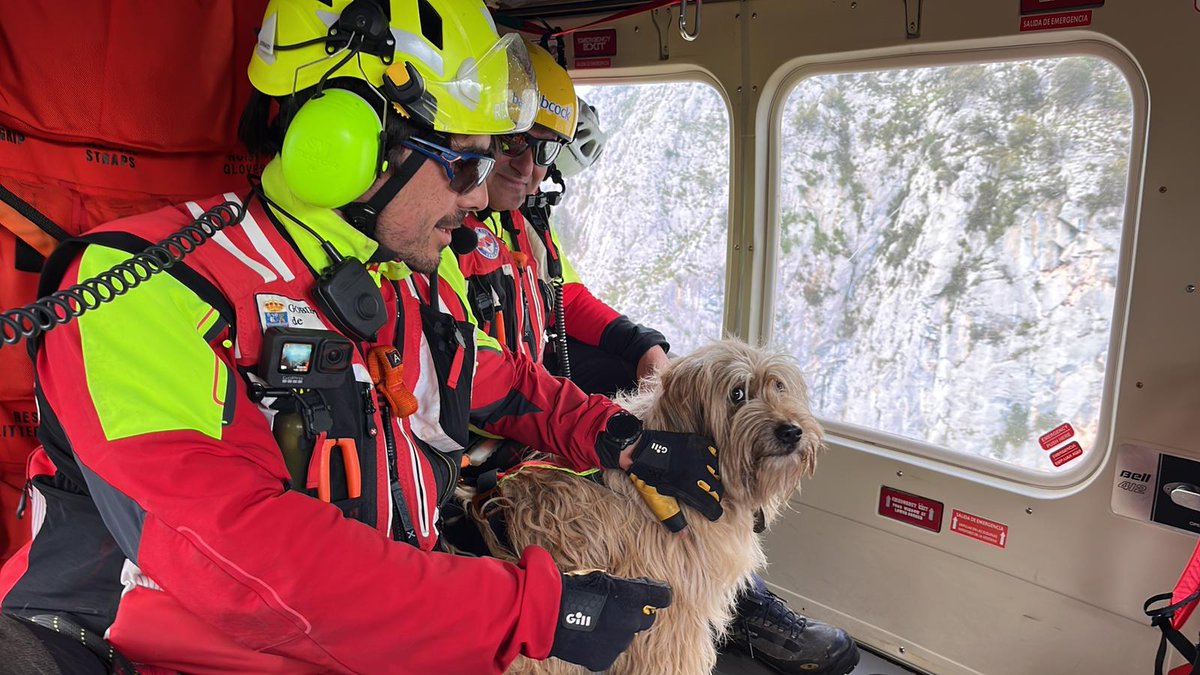 Rescaten amb helicòpter una gossa que duia 2 dies atrapada en un penya-segat a Cantàbria ccma.cat/324/rescaten-a…