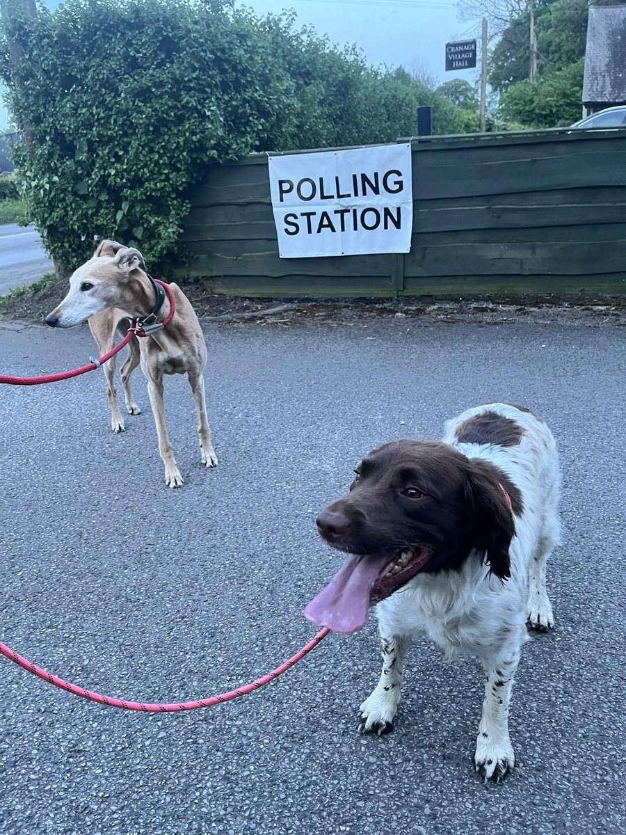 Busy day at work, but we still made it #dogsatpollingstations