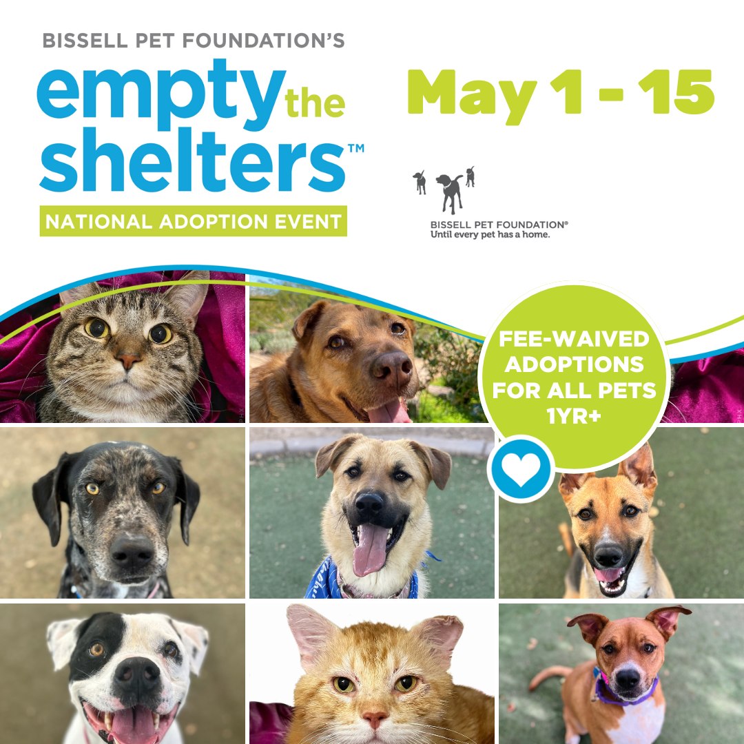 We’re partnering up with <a href="/BISSELLPets/">BISSELL Pet Foundation 🐶🐱</a> for waived adoption fees on all pets ages 1year+ from Wednesday, May 1 to Wednesday, May 15! This means you can take your furry friend home for FREE!
Stop by our Main Shelter (25 N 40th St) or our Chandler Location (3111 W Chandler Blvd) 🐶🐱