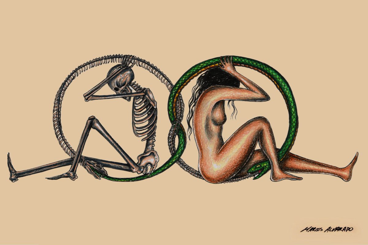 Mortality &amp; Vitality
