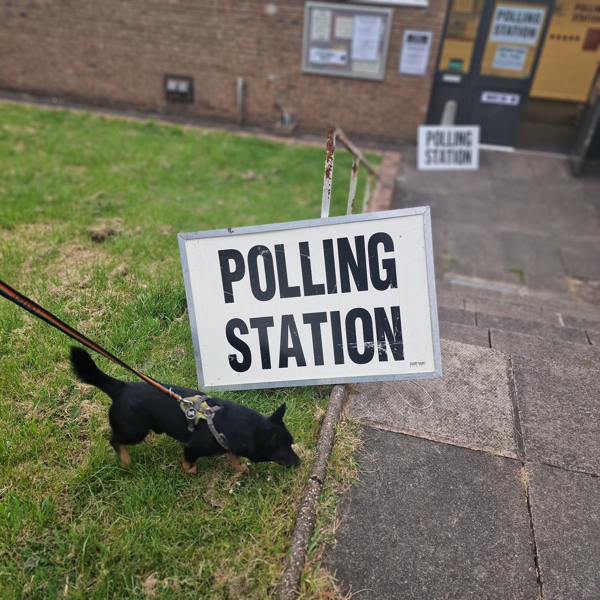 #dogsatpollingstations
Finished work, did my 2 hr journey home and popped in to vote...but what an opportunity....