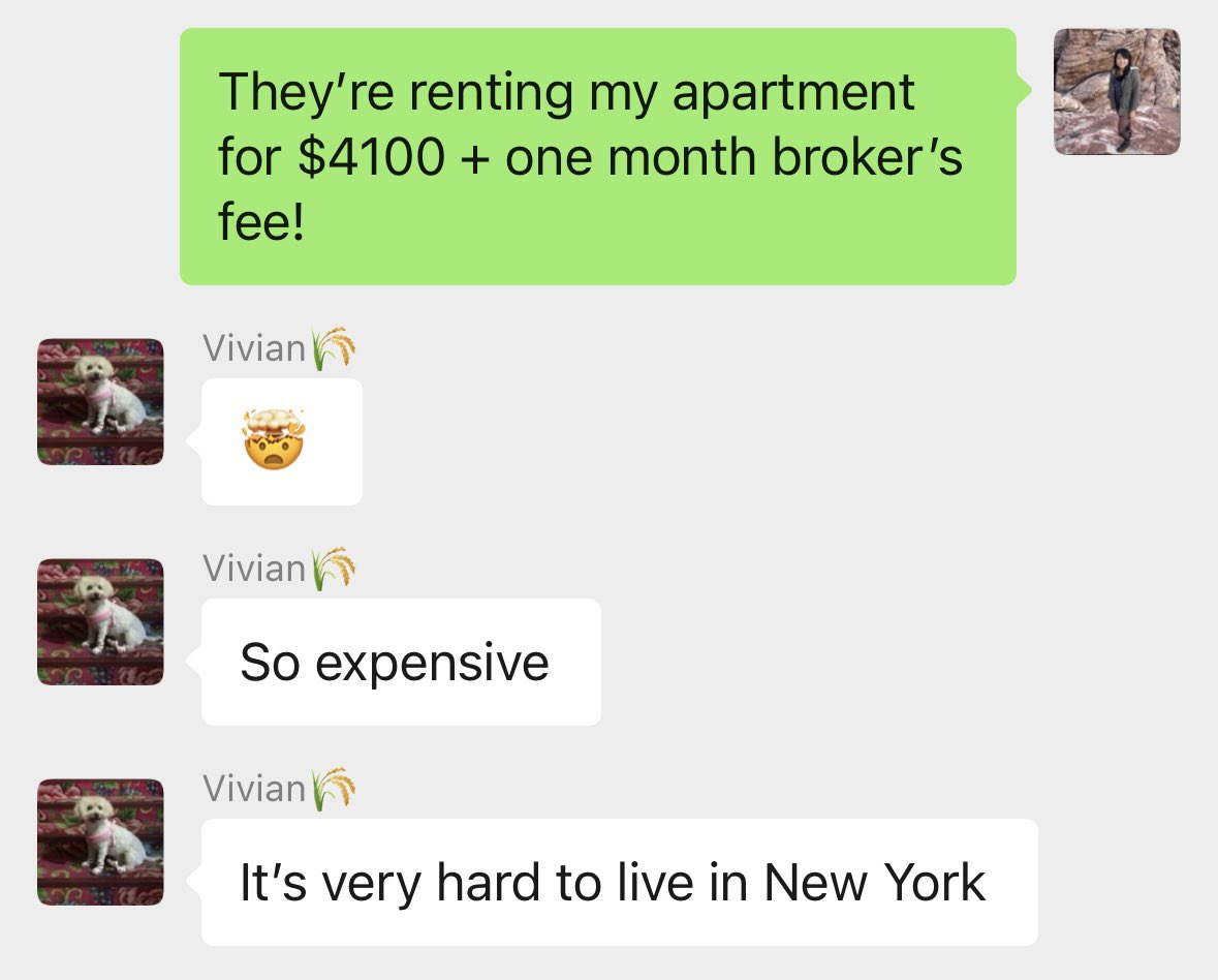 my mom reacting to the fact it now costs $4,100 a month to live in a Bushwick loft between a Boar’s Head warehouse and a wonton factory