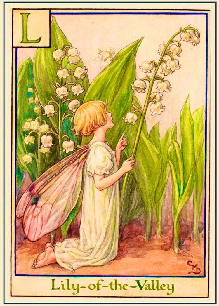 Lily-of-the-Valley is one of the birth flowers of May, along with the hawthorn. Not actually a lily, it belongs to the asparagus family. A symbol of purity, joy & love, it is said fairies drink from its cups & it protects gardens from evil spirits. #FolkyFriday #FolkloreSunday