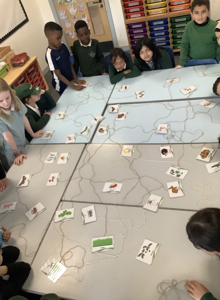 Today we used collaboration skills to create a food web, this helped us to understand food chains! #letsinvestigateanimals