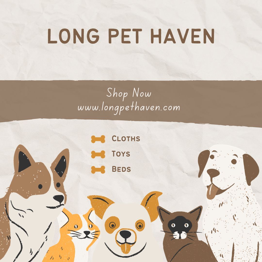 Come and explore our fantastic online pet supply store! We have everything you need for your furry friends,  from toys to grooming supplies and accessories. 
www.longpethaven 

#petsupplies #onlinestore #petlovers #furryfriends #petcare #shopnow #qualityproducts #happypets