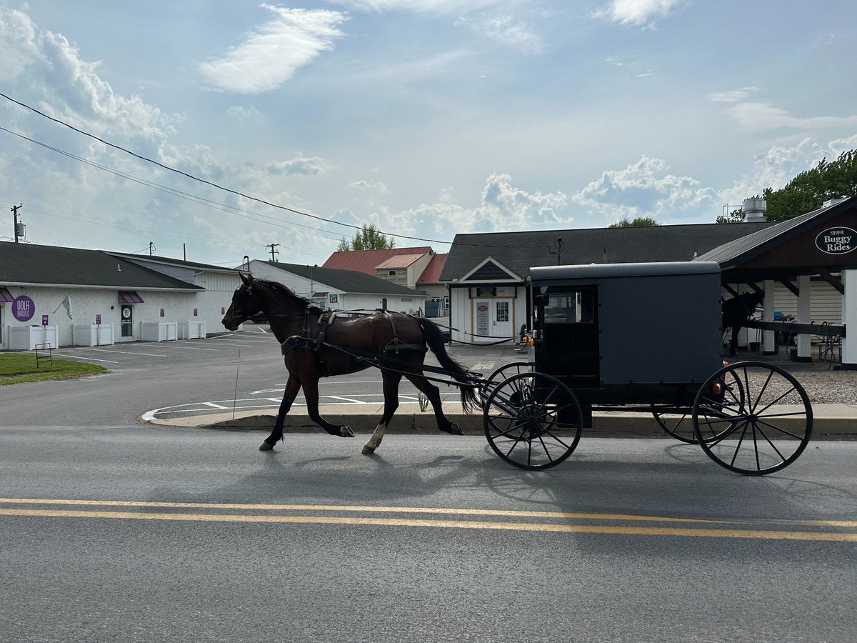 In Lancaster, PA, where the U.S. Women's Open will be held in a month. Also, home to the oldest and largest Amish community in the United States. Can't get over driving next to this!