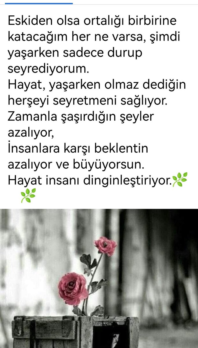 Hayırlı geceler..
Yarın güzel haberler alalım dostlar 🙏🏽🌺🍀
#GeceyeNotum
#Hayırlıcumalar