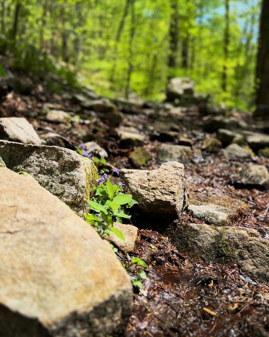 Spent my afternoon in my happy place ☀️⛰️🌲👣 https://t.co/5iXxUBzk9F<a href="/tag/shows"class="tags"><span>#shows</span></a><a href="/tag/cam"class="tags"><span>#cam</span></a><a href="/tag/skype"class="tags"><span>#skype</span></a>