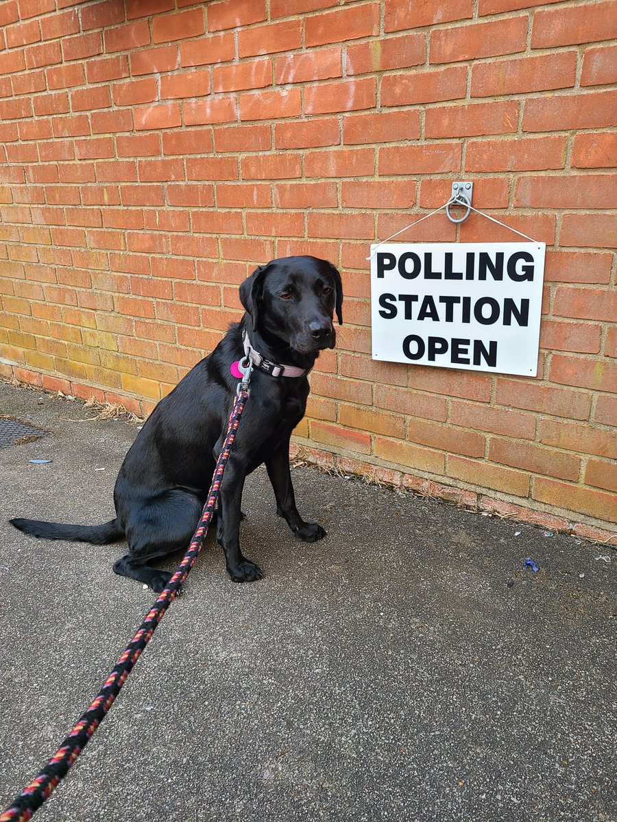 Just two democratic gals, making our mark #DogsAtPollingStations 🐾🗳 (In reality, I sent my postal vote off a couple of weeks ago... but that didn't feature a dog!)