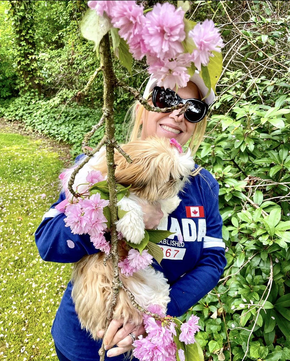 One year ago today, I took Abby to our yard to smell the cherry blossom flowers 🌸 💕🐾