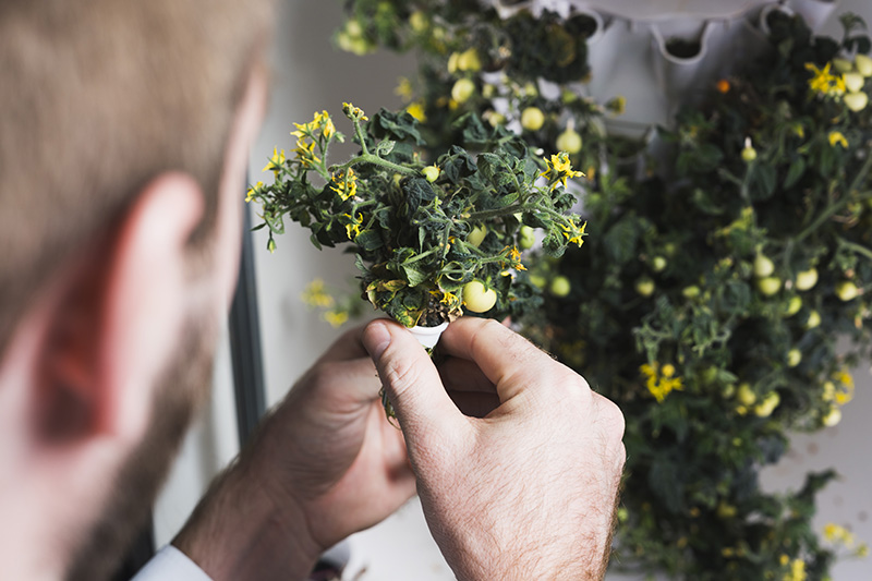 Congrats to anu as the company was awarded a nearly $200K grant from @NSF Technology Enhancement for Commercial Partnerships program.

CEO & @LifeAtPurdue alum Scott Massey said the funding will support the development of anu’s 100% compostable seedpods.

ow.ly/ZjKu50RtBwz