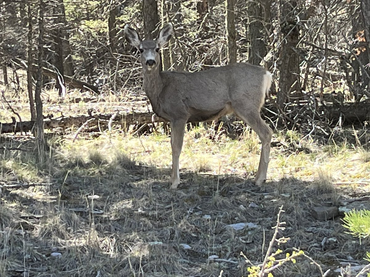 Made a new friend. What a cutie!