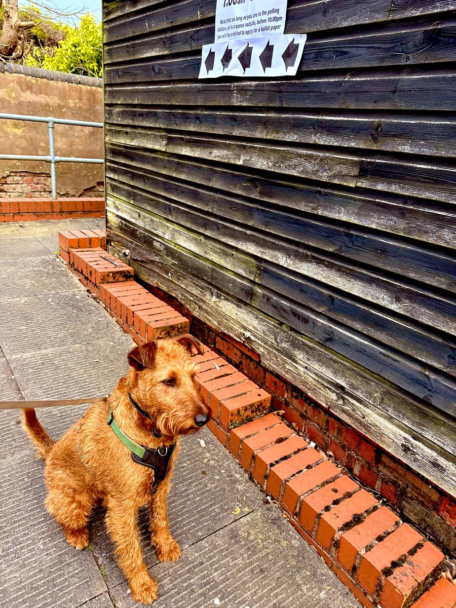 #dogsatpollingstations