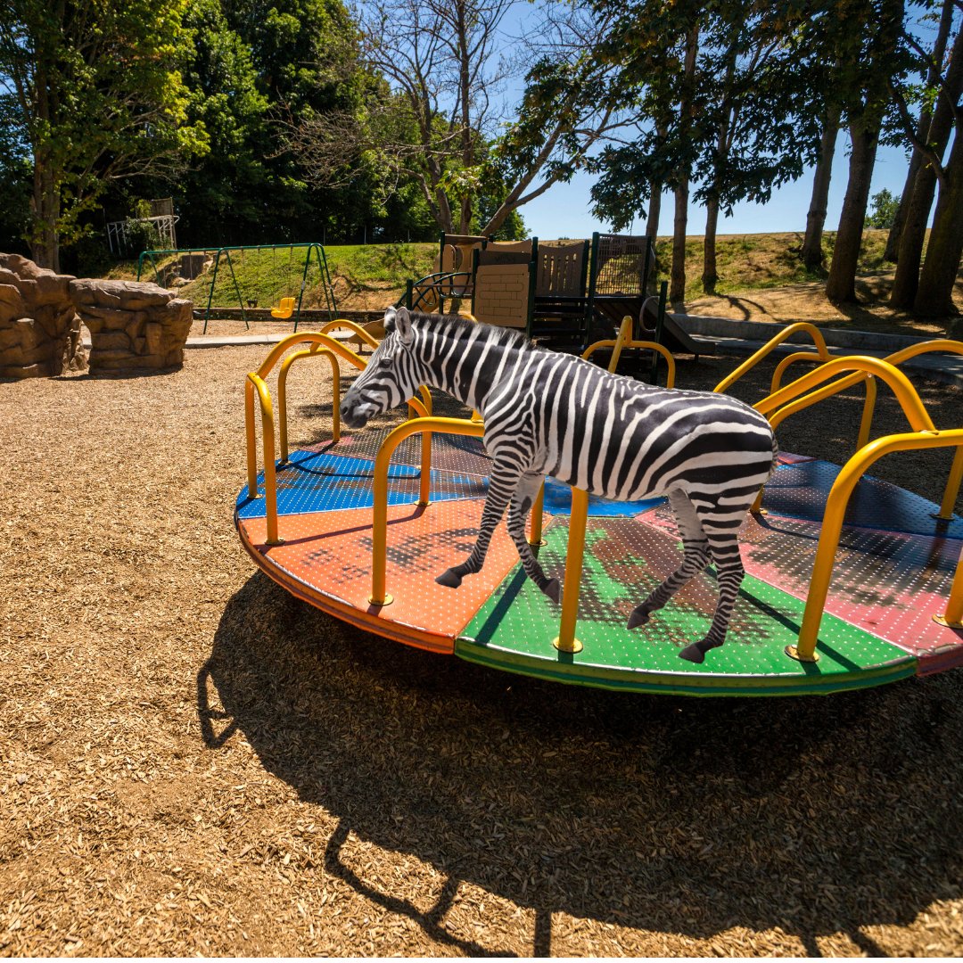 Attention all! The striped creature has been seen at Bayview Playground indulging in a lively spin on the merry-go-round. For your safety, we suggest keeping a safe distance and perhaps opting for the slides instead. #SafetyFirst #ZebraSighting