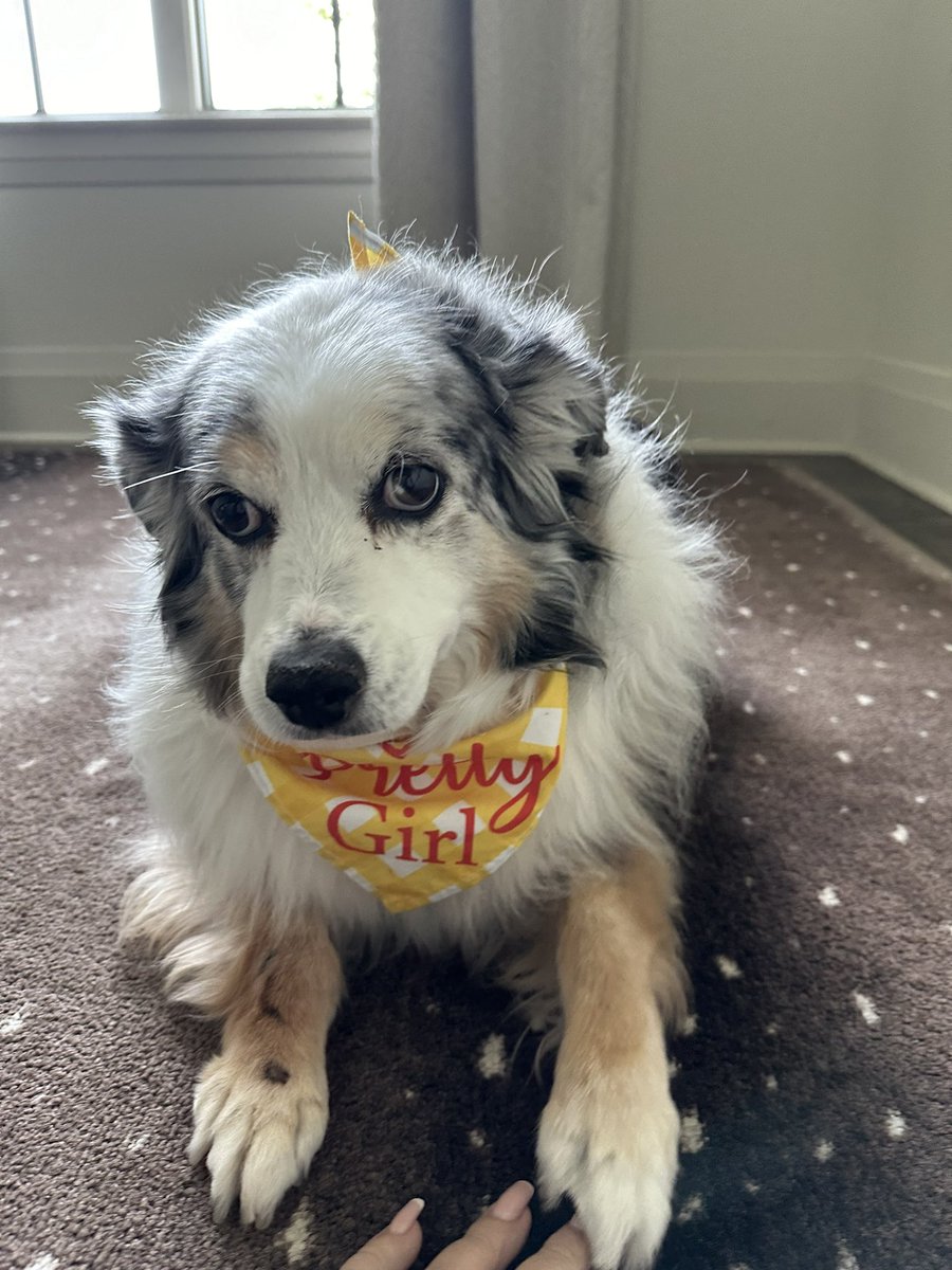 We love our pretty girl 💕