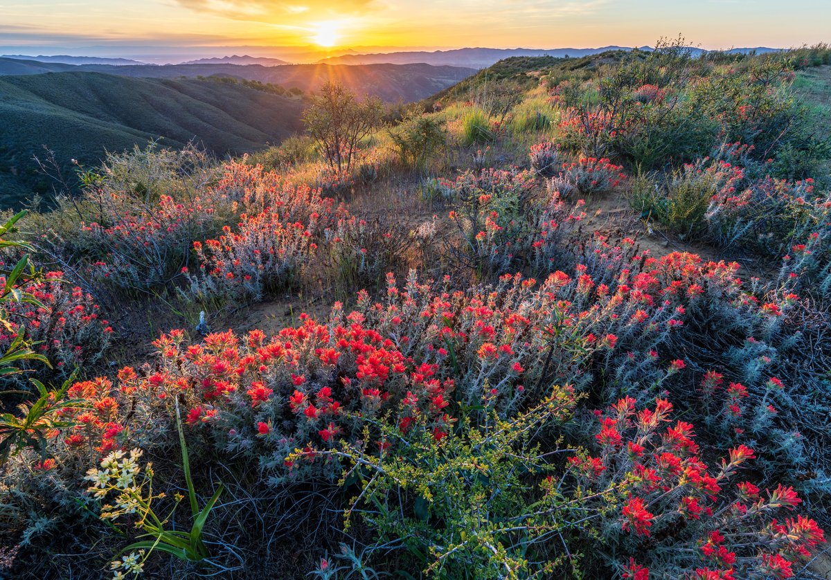 Join us in celebrating the expansion of California's Berryessa Snow Mountain National Monument. The new designation protects a striking 11-mile-long north-south ridgeline that's sacred to the Patwin people & hosts a mosaic of rare natural features➡️ow.ly/3MqP50RuMHC. @Blmca